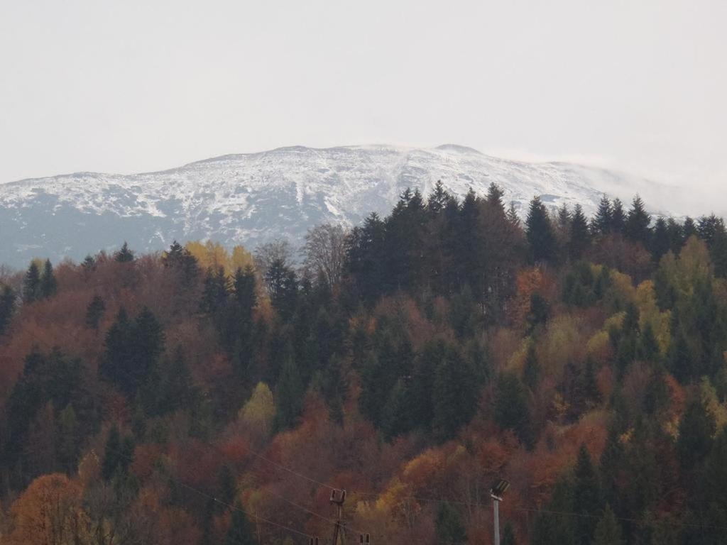 Willa Babia Góra Zawoja Esterno foto